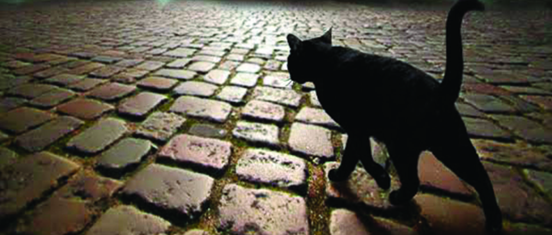 День гуляющий сам по себе картинки. Кот который гулял сам по себе. Кот гуляет сам по СЕБЕЭ. Коты гуляют сами по себе фото. Кот гуляет сам по себе фото.